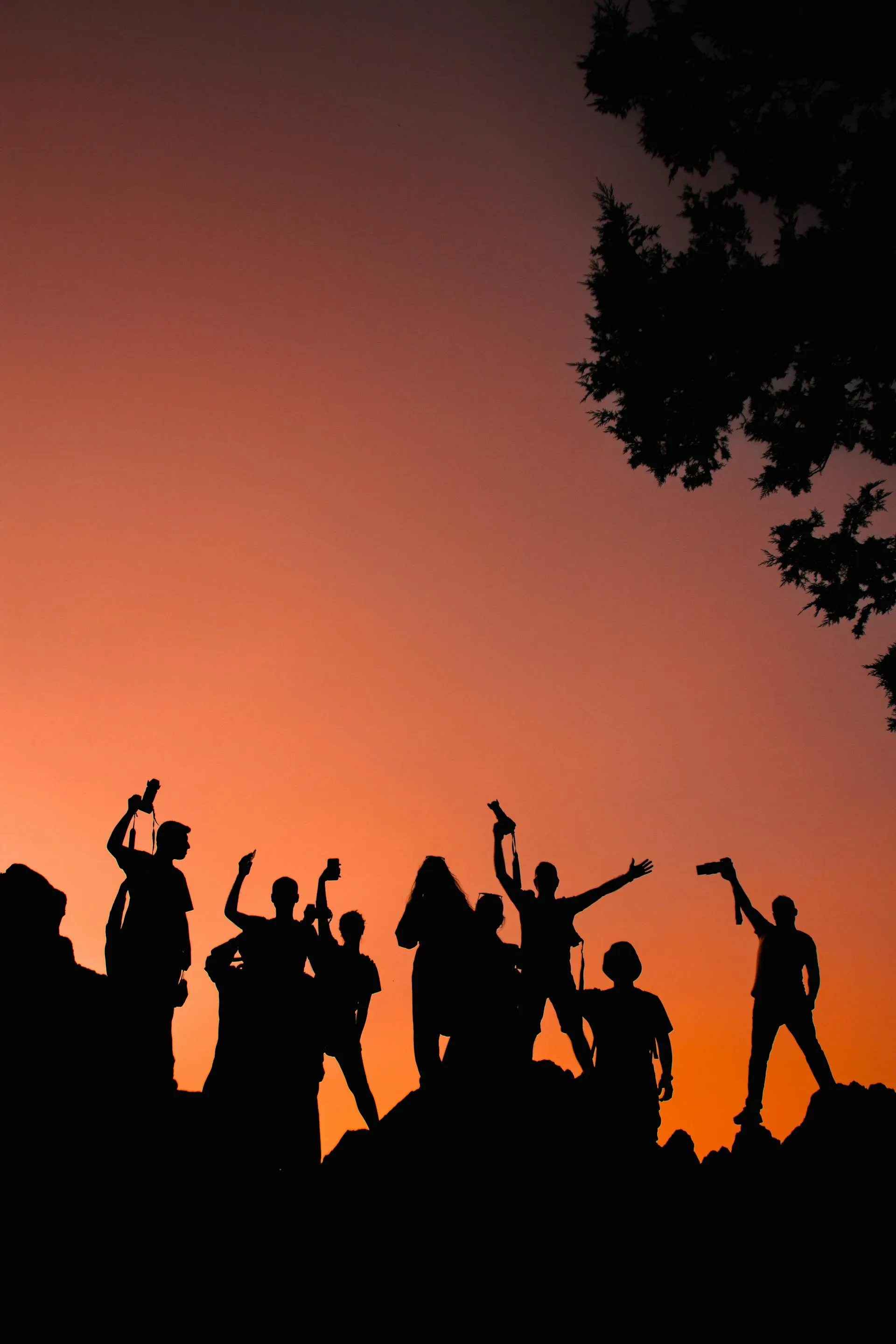 A group silhouetted against an orange sunset sky, arms raised in celebration