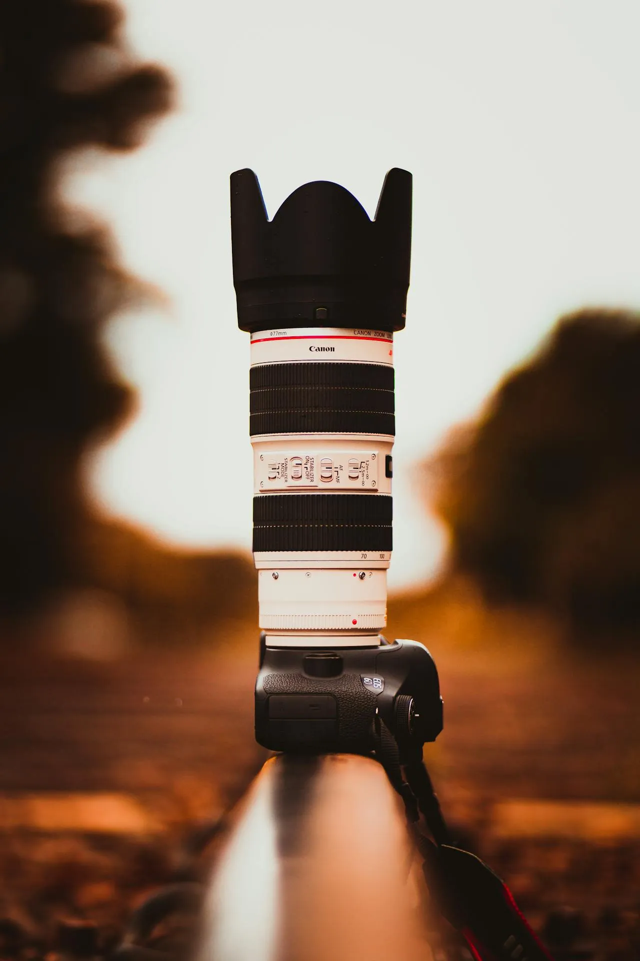 A close-up of a telephoto camera lens backlit at golden hour