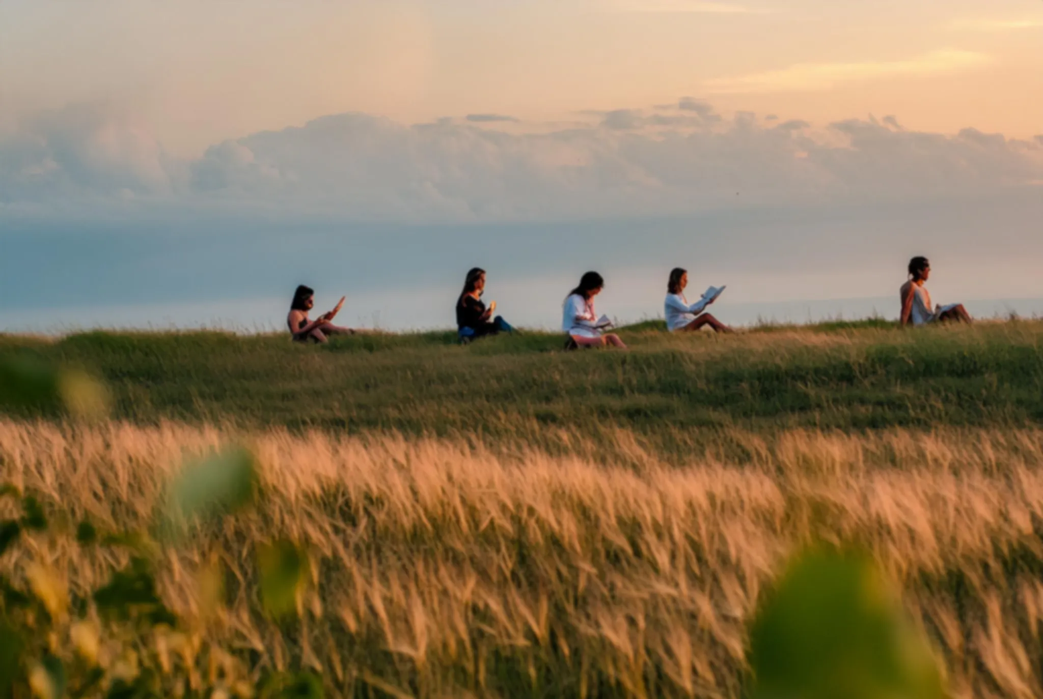 A small group sitting and writing together in a golden field at sunset